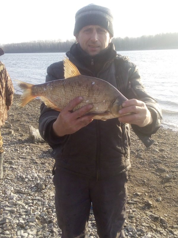 Осенний стандарт.
