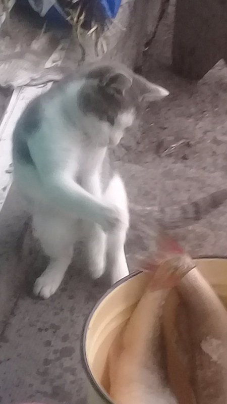 "Это мне?" )))