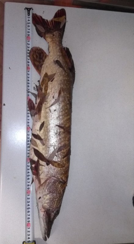 Первый небольшой трофей