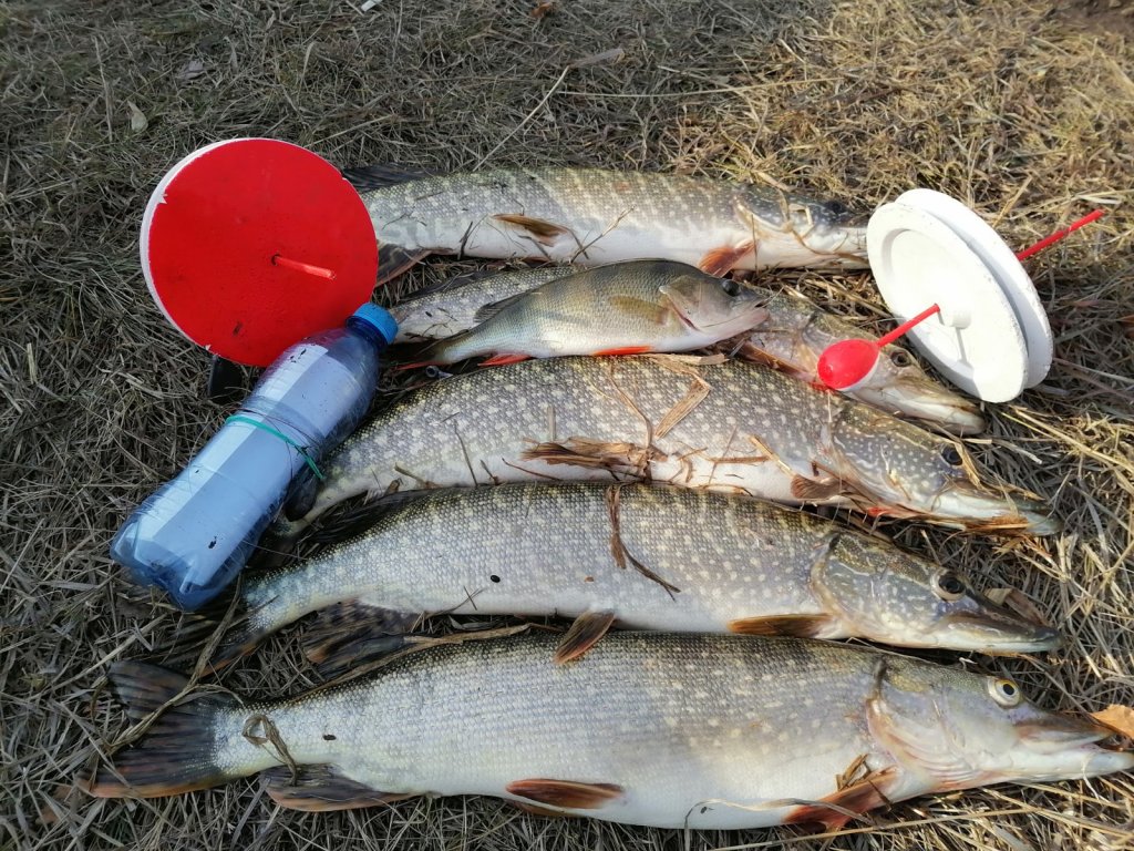 Закрытие сезона