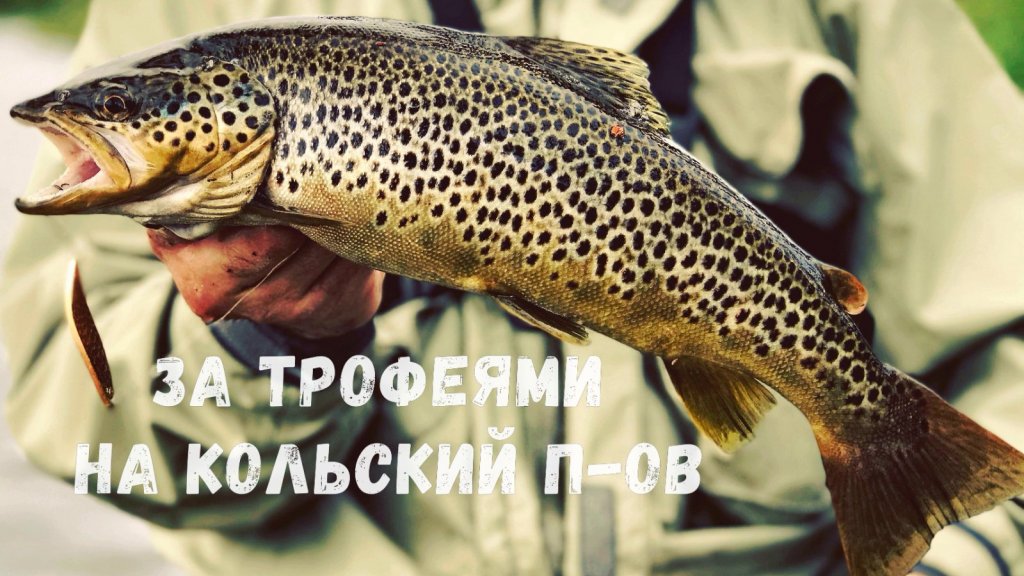 Трофейная кумжа, окунь, куропатка руками, 12 часов пути, сильный ветер, дождь и волна.