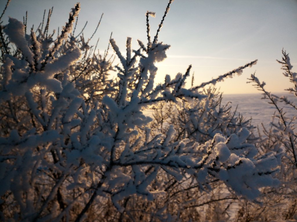 Морозное утро