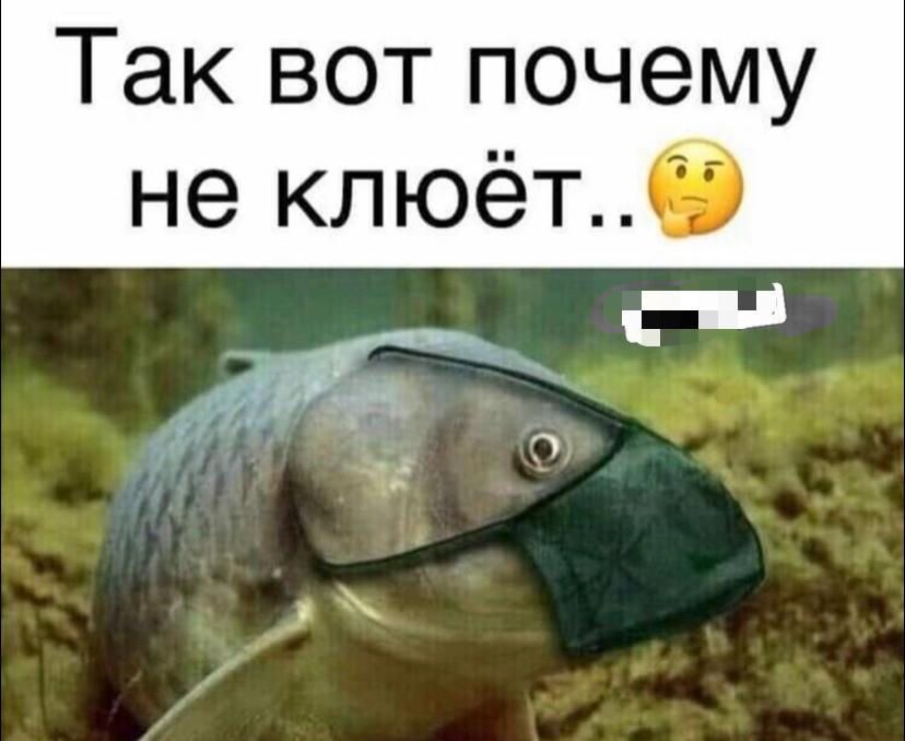 Нет клёва?