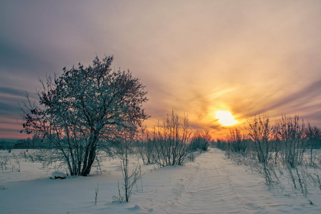 Морозное утро.