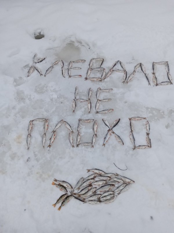 Зимний ельчик...