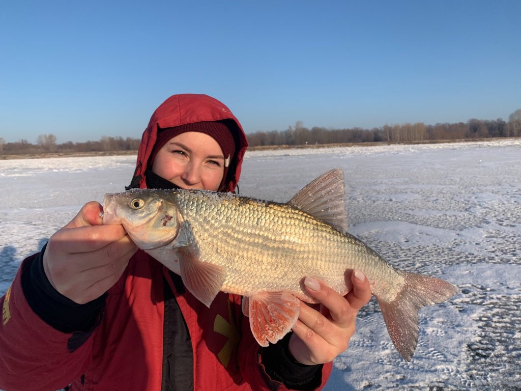 Морозный день