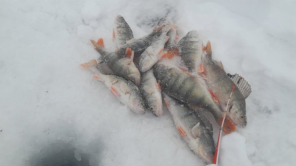 Совсем не морской размер с ОВХ.