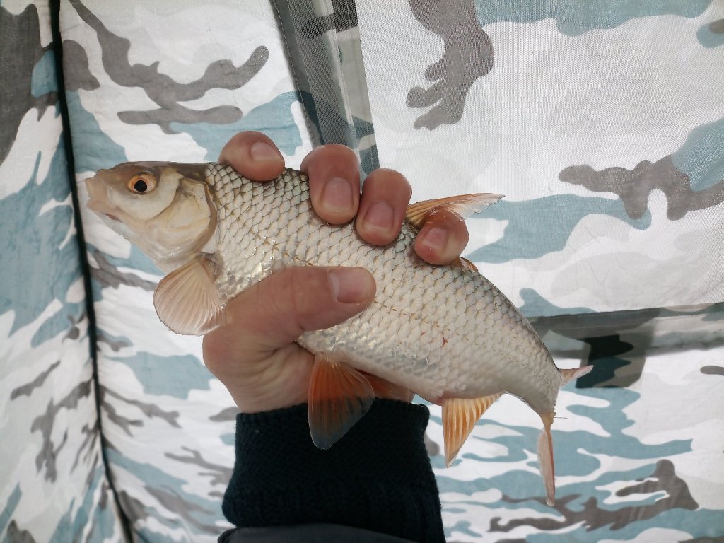 Морская