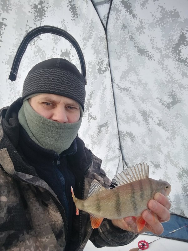 Два зелёных?