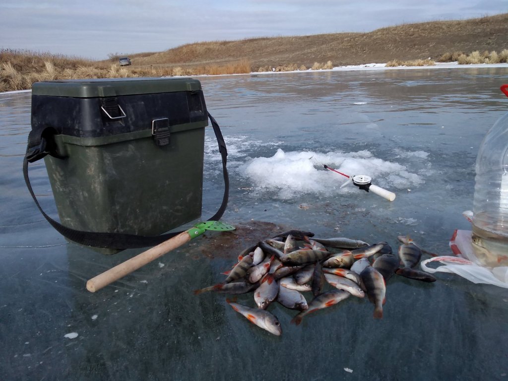 Рыбалка на мормышку