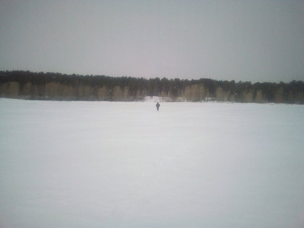 Все тропы замело. Снега по колено.