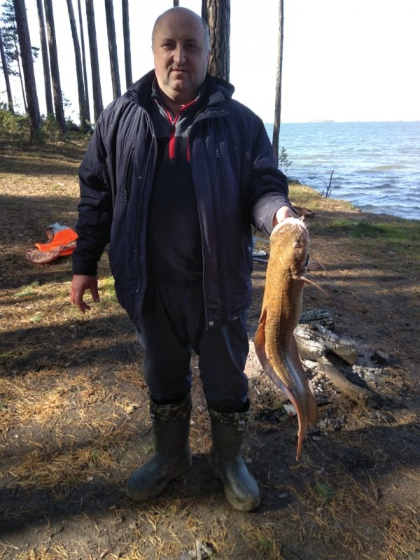Свал Завьялово