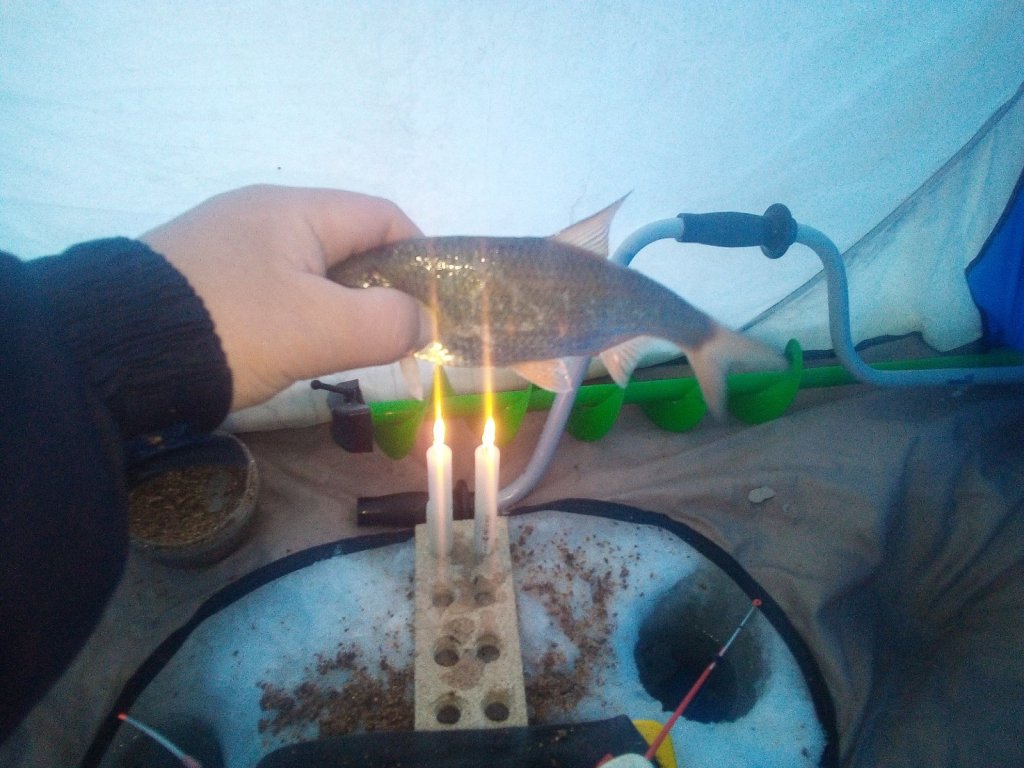 Затон. Первый пошел!