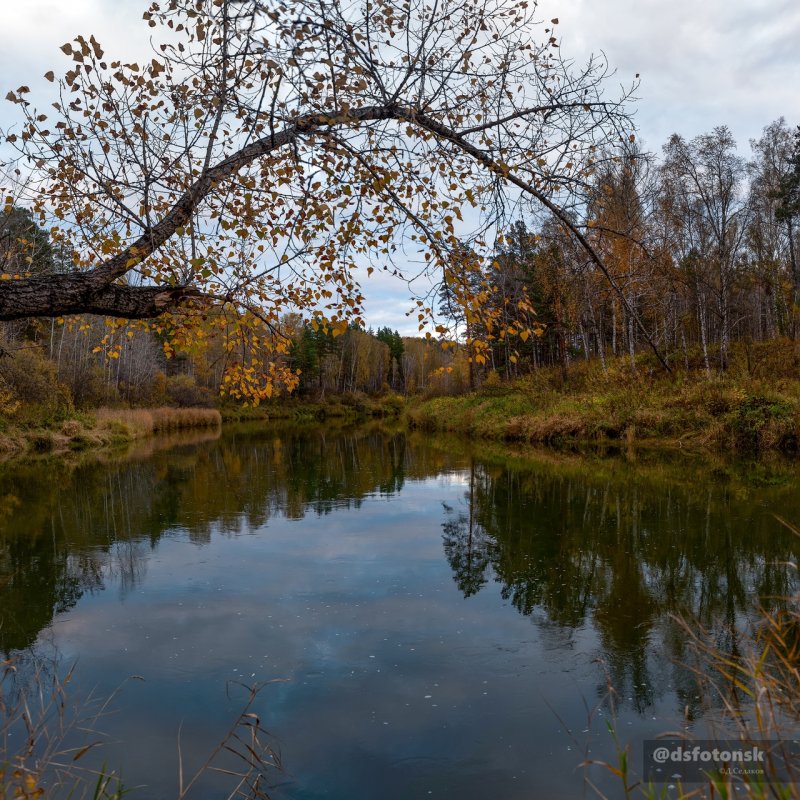 Осенняя Бердь.