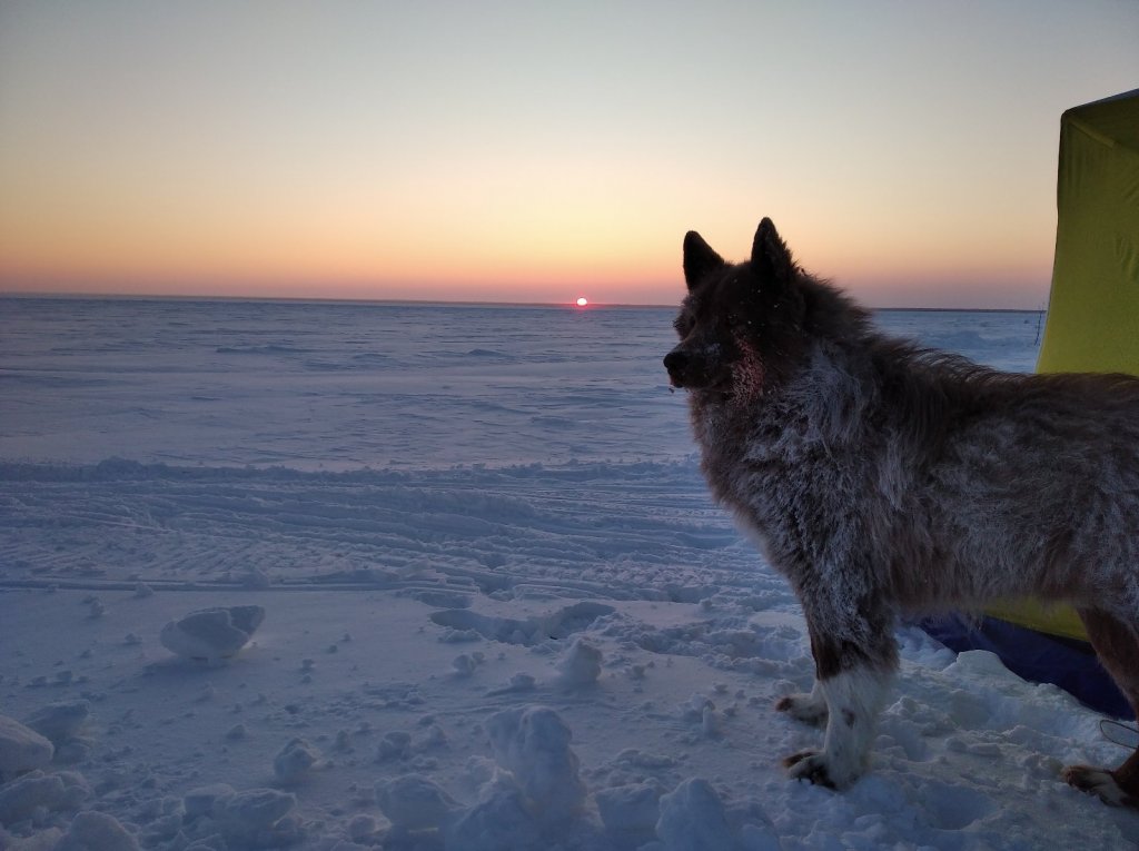 -47С пейзажи парящего Енисея