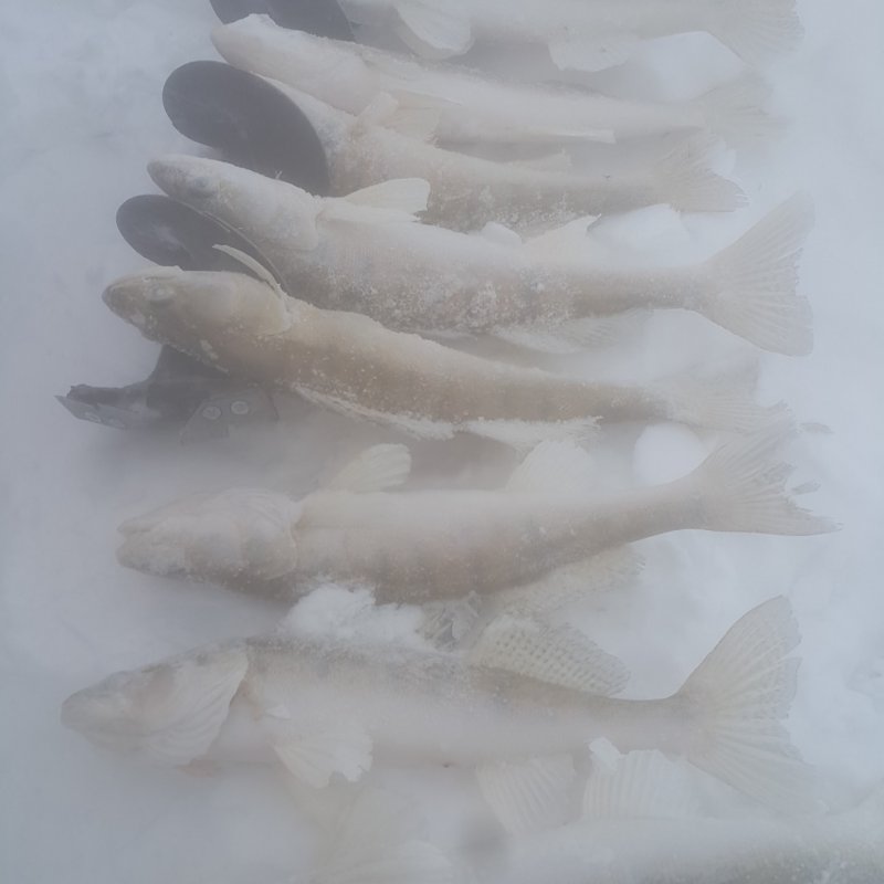 Морской