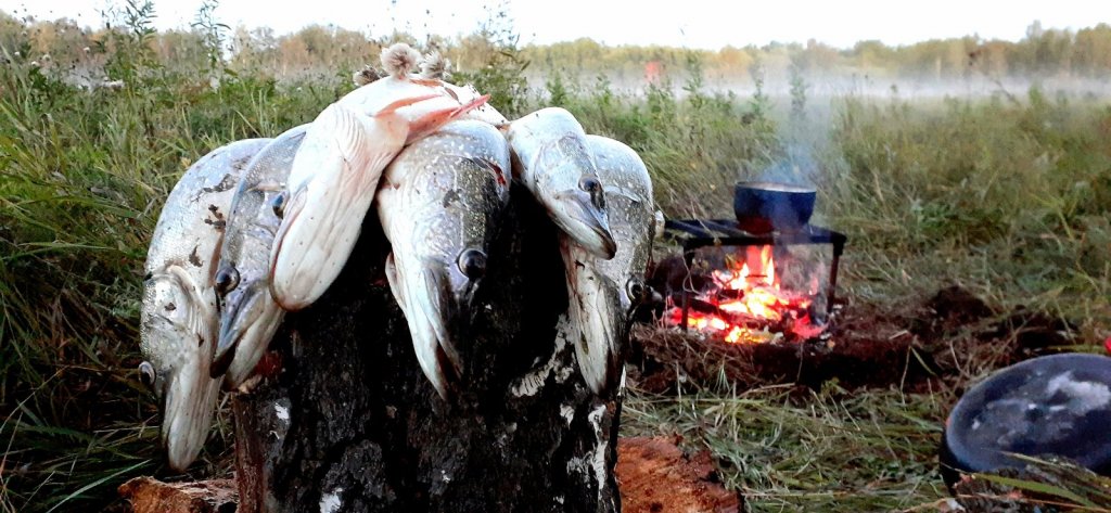Порыбачили. Воспоминания.