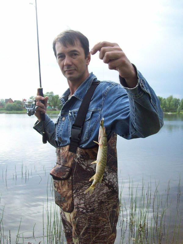 Матвеевская протока (2011 год).