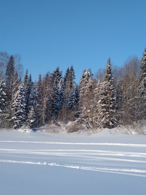 Стоп кадр
