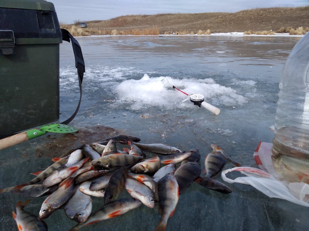 Рыбалка на мормышку