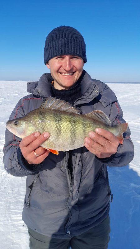 Горбач на 1кг.300гр.