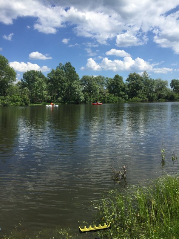 Чаус, соревнования 2019 год