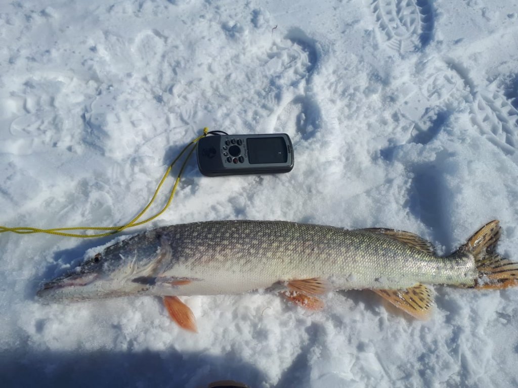 Зимний рекорд. 2250
