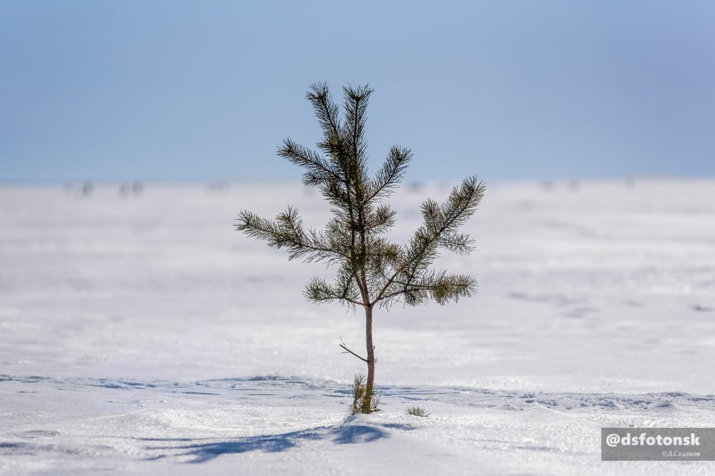 Рыболовные дела.
