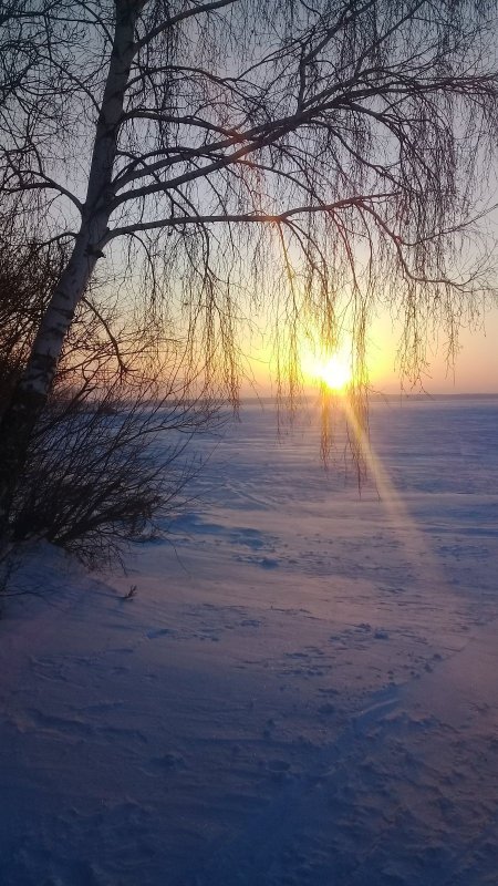 Зов природы