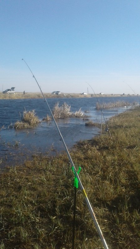 На реке