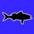 Magical_Fishing