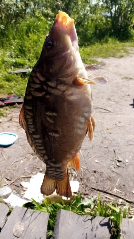 75 км