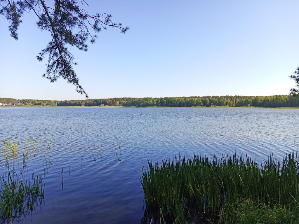 Залив Алеуса