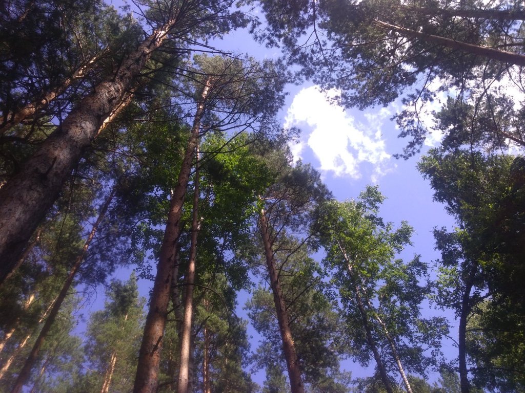 Близ Антоново