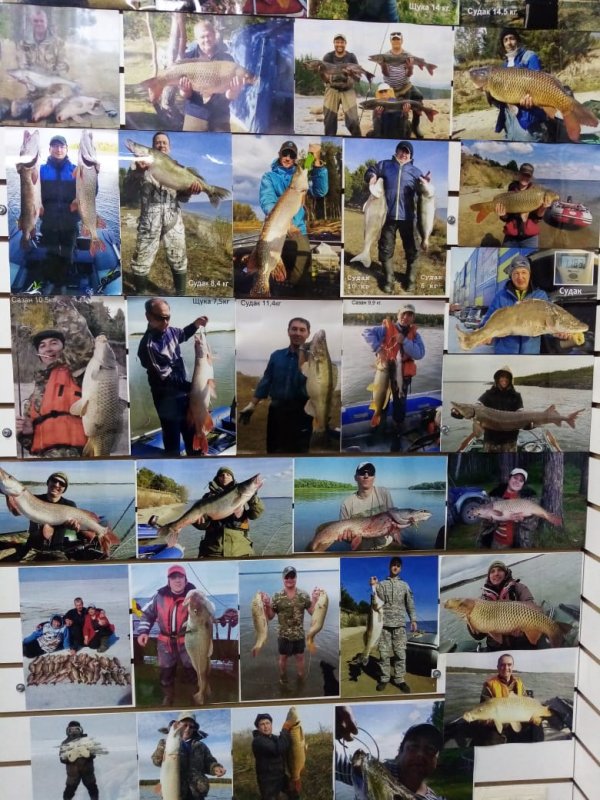 Вот это рыбка!