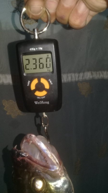 Ну и мы не отстаем! - 2.