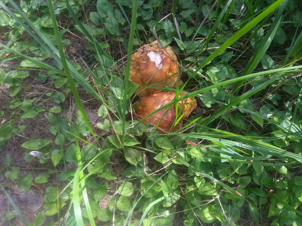 Не успел