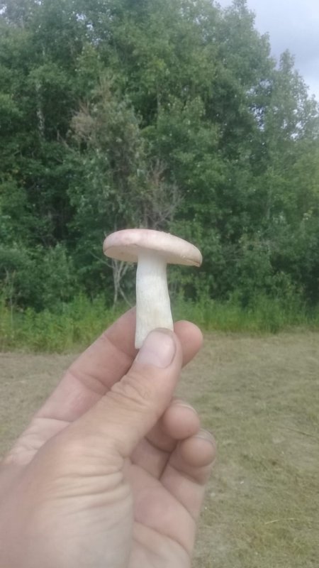 Сезон открыл!)
