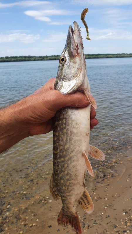 Городская...