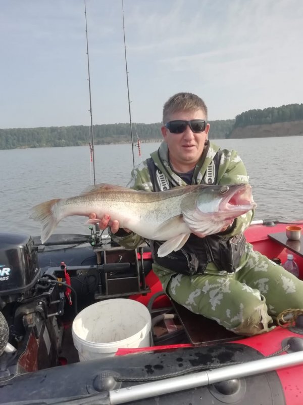 Залив радует....