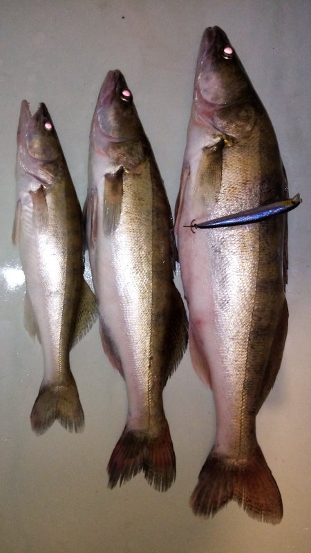 Скоро рассвет. выхода нет))))