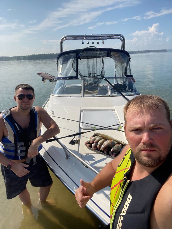 Судачки да окуньки