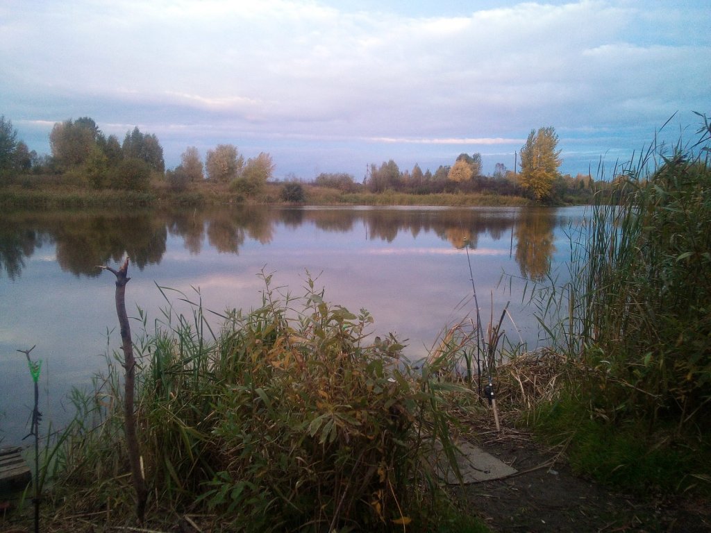 Воскресное утро в Криводановке.