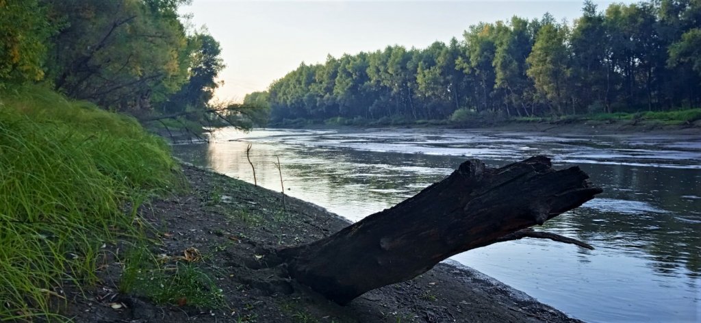 А воды то и нету...