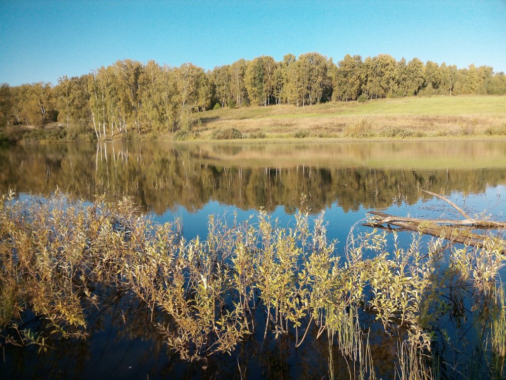 Полная тишина.