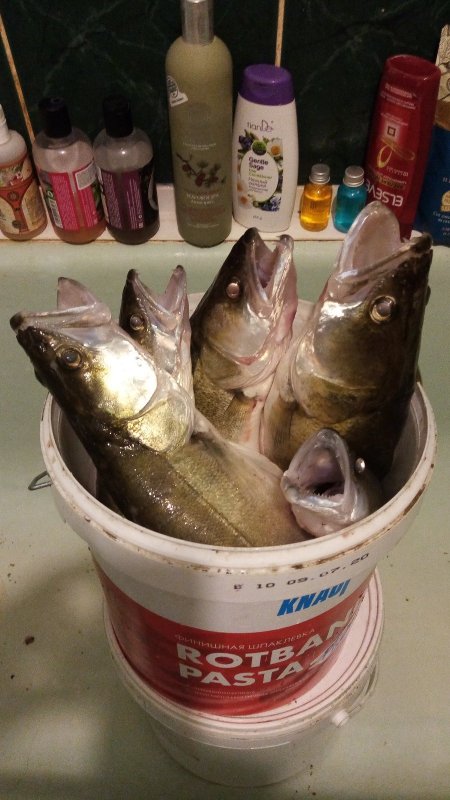 По свежим следам Витали. Он же Даня.