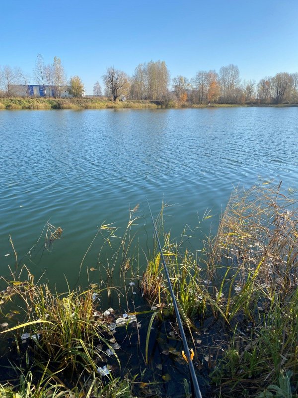 Глухое