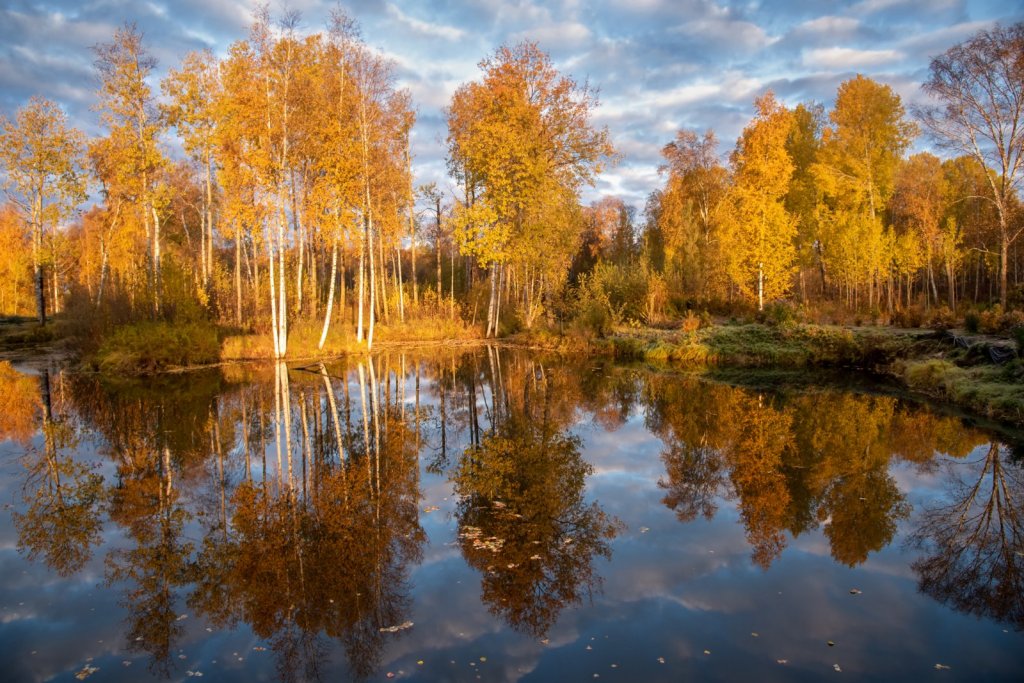 Золотая осень