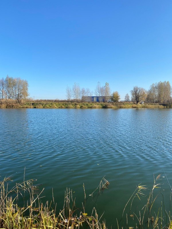 Глухое