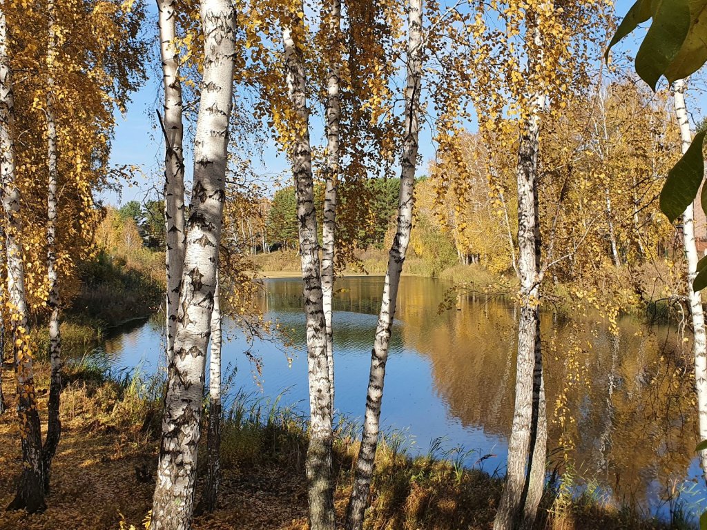 Октябрьский полдень